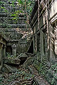 Angkor - ruins of Beng Mealea